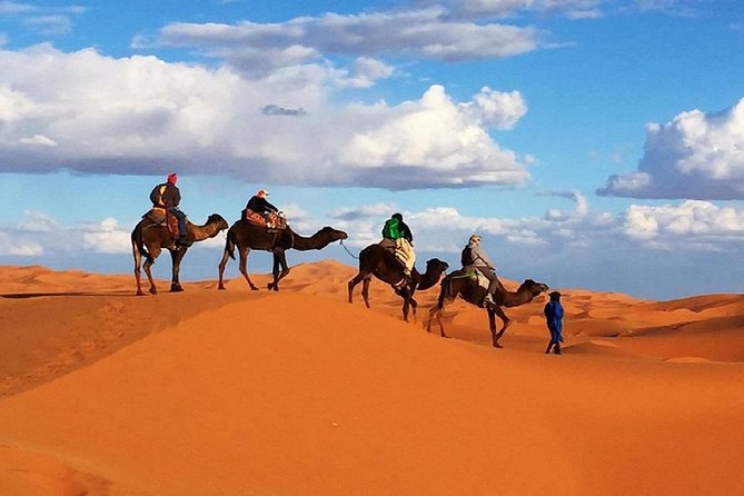 Overnight Camp Camel Trekking In Merzouga - Camp Options: Standard Berber Camp vs Luxury Desert Camp