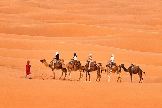 Overnight Camp Camel Trekking In Merzouga - Pickup, Private Tour Setup, and How the Group Size Changes Everything