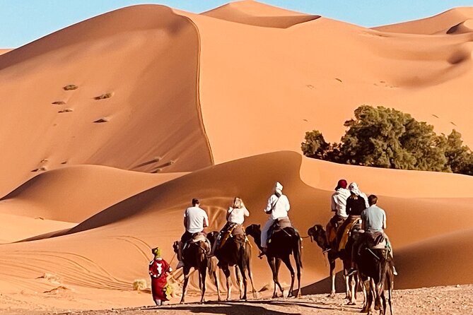 Overnight stay in desert camp & Camel trekking in the Sahara - Key Points You Should Know Before You Go