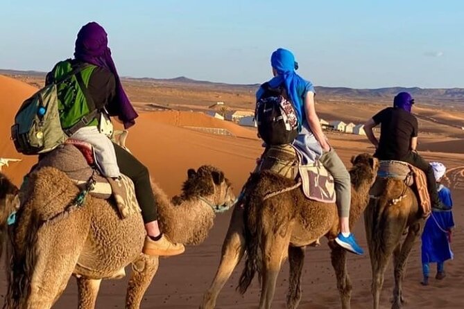 Overnight stay in desert camp & Camel trekking in the Sahara - Why Erg Chebbi by Camel Feels Worth the Effort