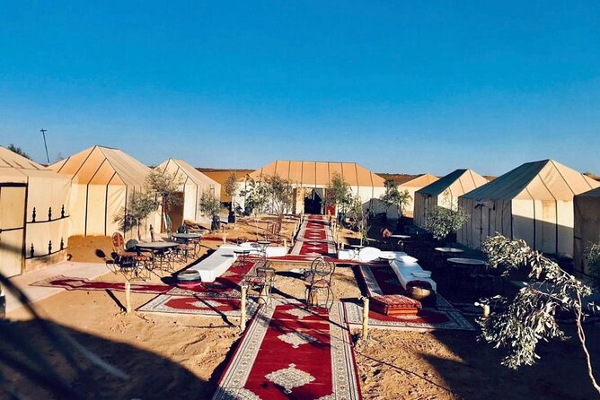 Overnight stay in desert camp & Camel trekking in the Sahara - Price and Value: What $69.79 Covers (and What It Does Not)