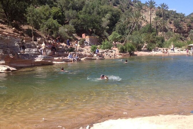 Paradise Valley and Atlas Mountains Adventure in Agadir - Botanical Garden Stop: Mint Tea, Honey, and a Slow Break