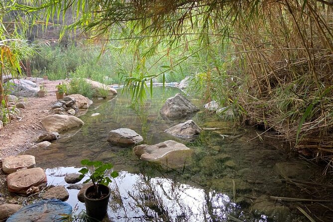 Paradise Valley and Atlas Mountains Adventure in Agadir - Paradise Valley: Pools, Palms, and the Part Where Footwear Matters
