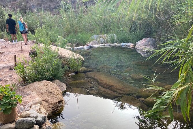 Paradise Valley and Atlas Mountains Adventure in Agadir - What to Expect From the Whole 6-Hour Day