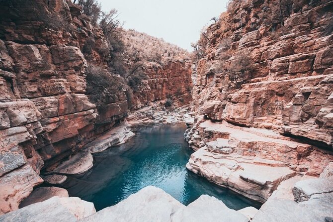 Paradise Valley & Atlas Mountains Adventure with optional LUNCH - Key Highlights