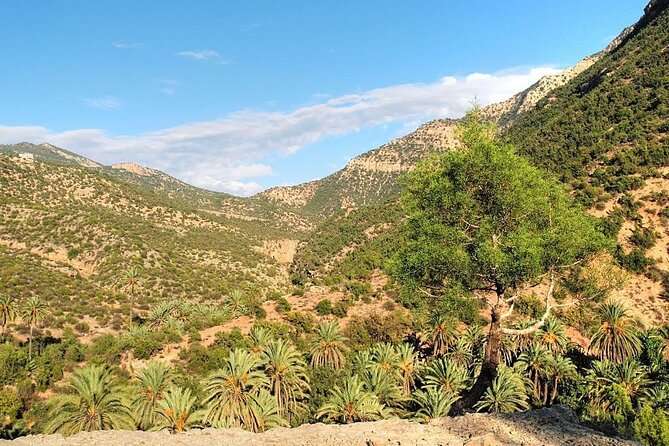 Paradise Valley & Atlas Mountains Adventure with optional LUNCH - Coastal Route Stops: Taghazout, Seafront Promenade, and More