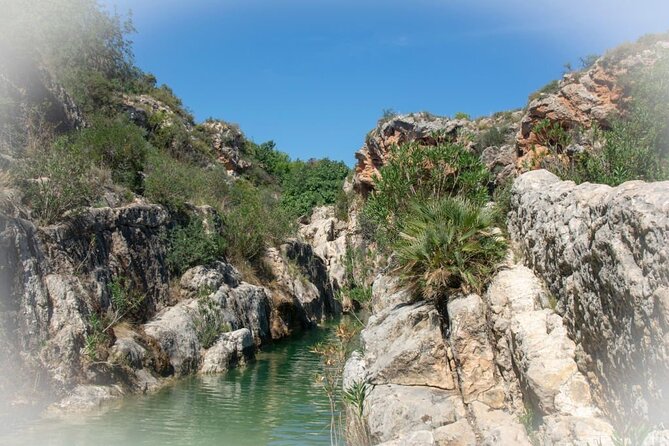 Paradise Valley & Atlas Mountains Adventure with optional LUNCH - Botanical Garden Stop: A Calm Reset Between Sea and Mountains