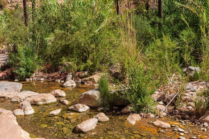 Paradise Valley & Atlas Mountains Adventure with optional LUNCH - Who Should Book This Paradise Valley Adventure (and Who Should Reconsider)