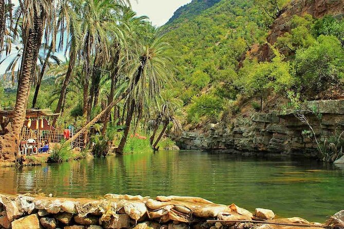 Paradise Valley & Atlas Mountains Adventure with optional LUNCH - The Paradise Valley Walk and Natural Pools: Swim Time, Steep Steps, Real Conditions