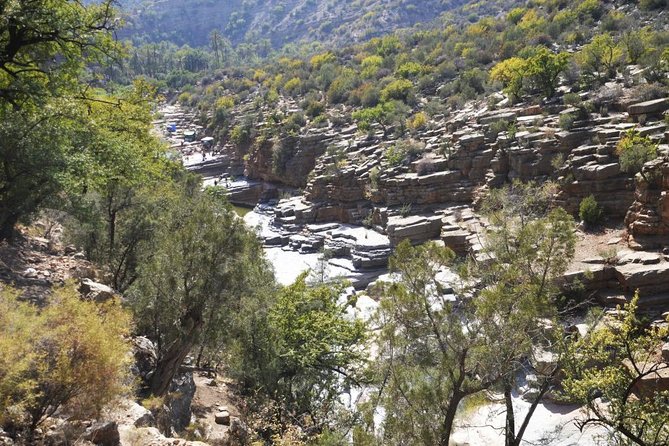 Paradise valley excursion - Gorges de Oued Tamzargoute, palm grove arrival, and what you’re walking into