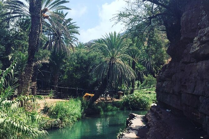 Paradise Valley & The Old Taghazout village Private Tour - Paradise Valley, Taghazout, and a taste of the Atlas in one smooth half day