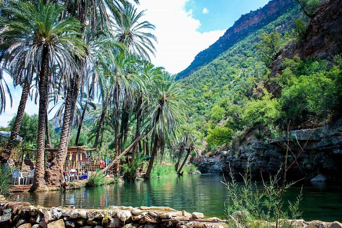 Paradise Valley & The Old Taghazout village Private Tour - Stop 1: Paradise Valley Agadir, calm time with shade and river pools