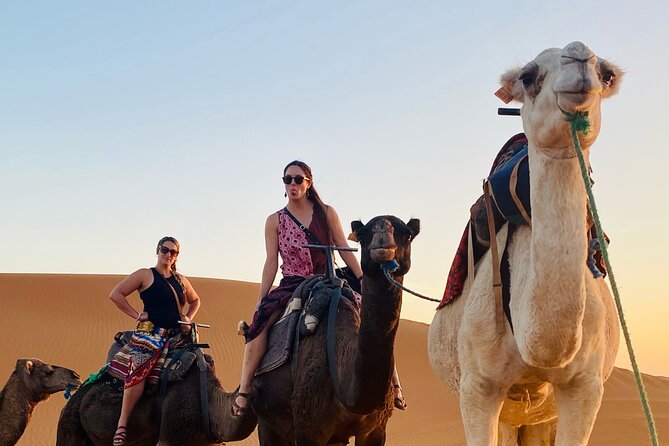 Private 4 Days Tour From Marrakech to Fes Via Merzouga Desert - Day 4: Ziz Valley viewpoints, Midelt lunch break, Cedar Forest macaques, Ifrane, and arrival in Fes