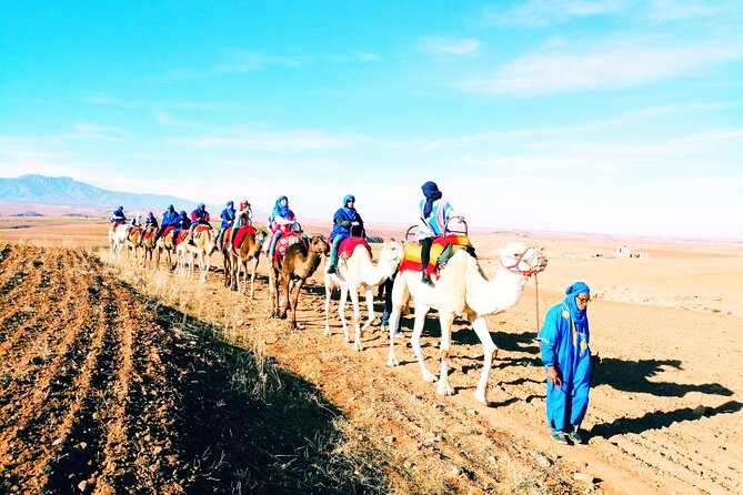 Private Atlas Mountains & Berber villages day trip - Argan co-operative stop in the morning: tea, process, and quick context