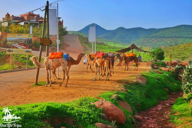 Private Atlas Mountains Day Trip - Key things I think you will care about