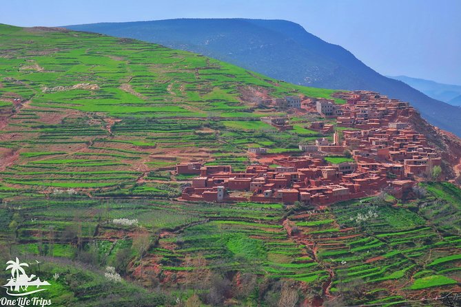 Private Atlas Mountains Day Trip - Ourika Valley Food Moment: Argan Oil Coop and a Home-Style Tajine Lunch