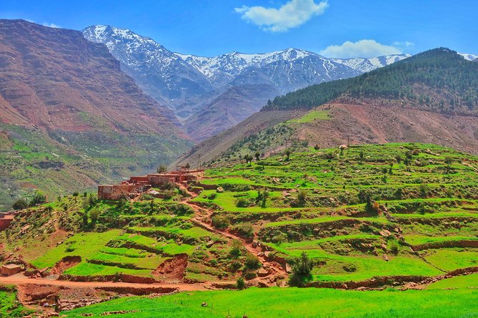 Private Atlas Mountains Day Trip - Optional Camel Ride Upgrade: Fun Add-On, Know What You Are Signing Up For