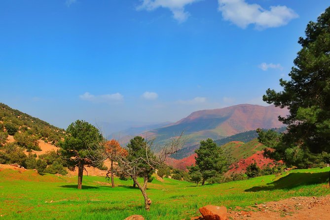 Private Atlas Mountains Day Trip - Price and Value: Is This $87.24 Private Day Trip Worth It?