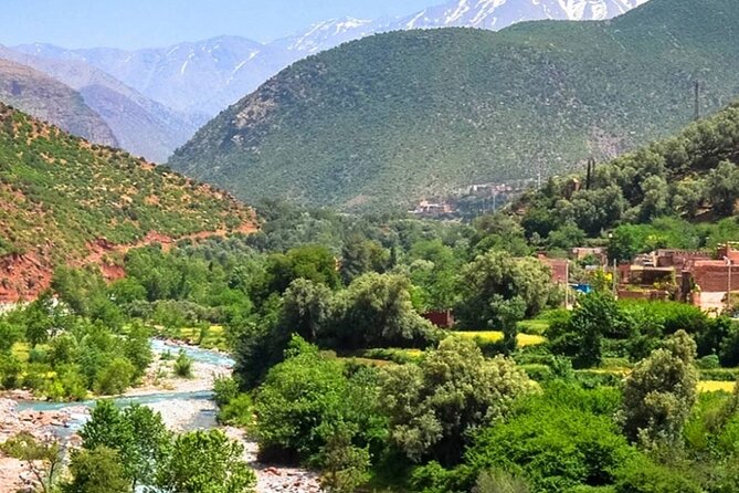 Private Day Trip to Atlas Mountains - Ourika Valley: argan co-op and a Berber family lunch