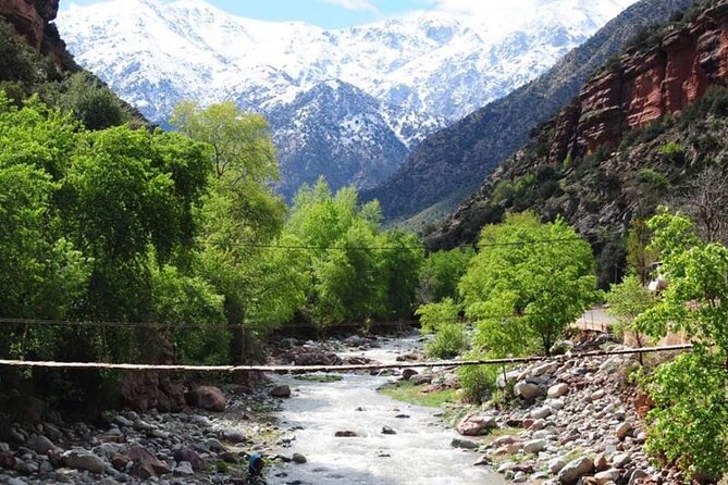 Private Day Trip to Atlas Mountains - Who this tour suits best