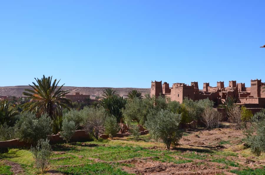 Private Day Trip To Ouarzazate & Ait Ben Haddou Kasbah - The Timing Problem: Long Drives, Short Visits, and How to Make It Worth It