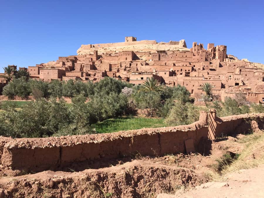 Private Day Trip To Ouarzazate & Ait Ben Haddou Kasbah - Driver and Language Reality Check