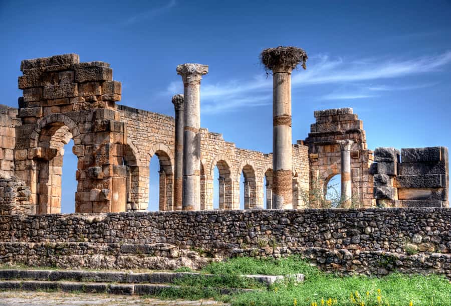 Private Day Trip to Volubilis, Moulay Idriss and Meknes - Who should book this tour, and who should rethink it