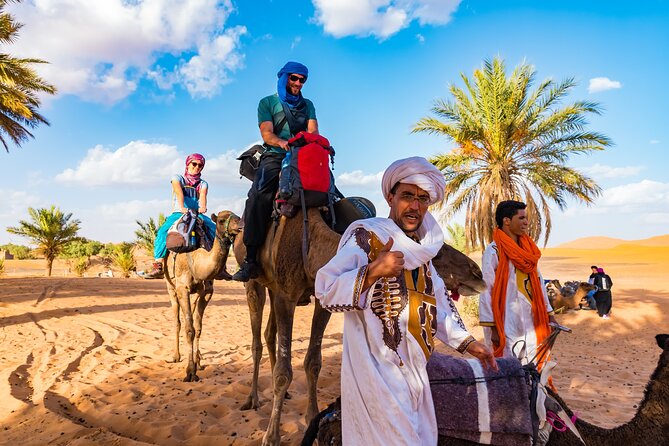 Private Driver for a full day in Marrakech - Historic Palaces and Gardens: Slower Stops That Feel Worth It