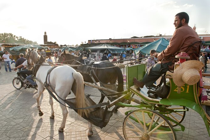 Private Driver for a full day in Marrakech - How to Use the Driver in the Medina Without Losing Your Mind