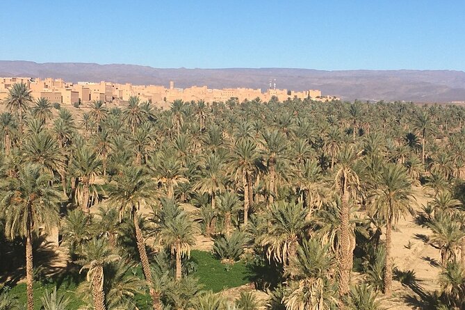 Private Excursion from Ouarzazate to Gorges Dades, Valley of Roses and Skoura - Dades Gorges in the real world: lunch, then a guided walk