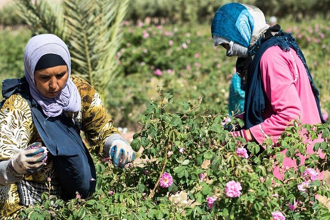 Private Excursion from Ouarzazate to Gorges Dades, Valley of Roses and Skoura - What to pack for Skoura to Dades (so the day stays easy)