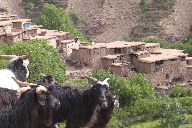 Private Guided Atlas Day Tour from Marrakech with lunch in a Berber family home - A 9am Atlas start that keeps the day feeling manageable