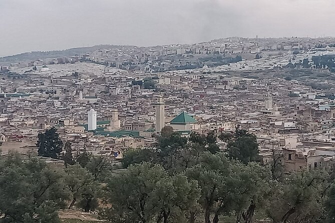 Private Guided Tour in Fez Medina - Bou Inania Medersa: When Cedar Wood and Stucco Become the Main Event