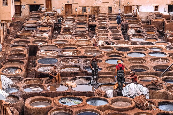 Private Half-Day Tour of the Authentic City of Fez - Chouara Tannery: seeing leather production up close