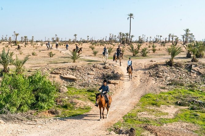 Private horseback ride in the Palmeraie of Marrakech - Key things I’d prioritize before you book