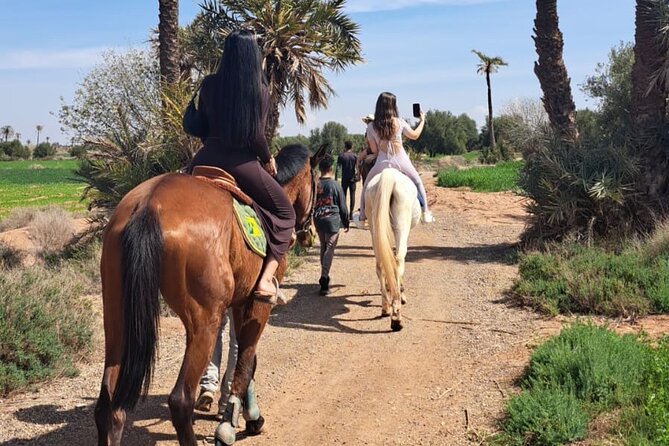 Private horseback ride in the Palmeraie of Marrakech - Pickup and stables: the part that sets the tone