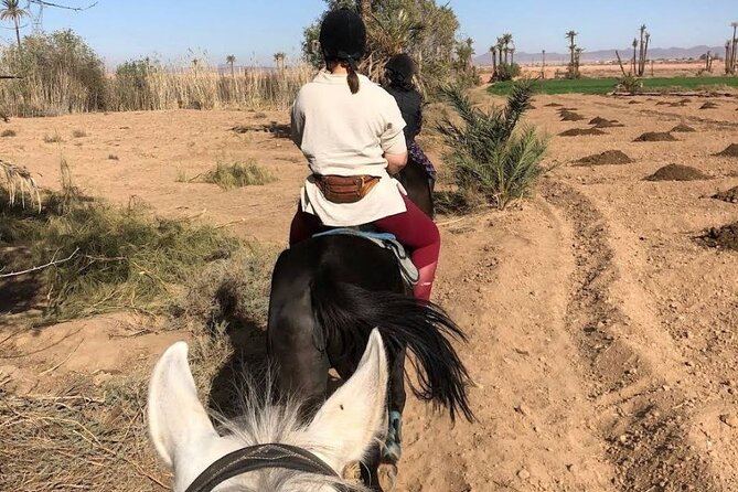 Private horseback ride in the Palmeraie of Marrakech - The ride through the Palmeraie: pace, paths, and photo time