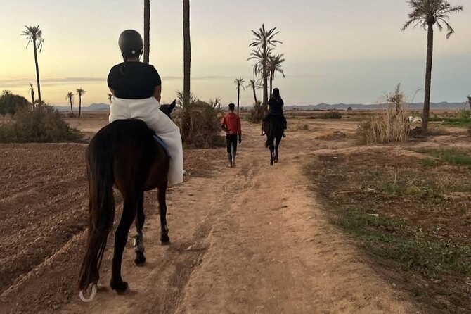 Private horseback ride in the Palmeraie of Marrakech - The Berber house mint tea pause that actually feels worth waiting for