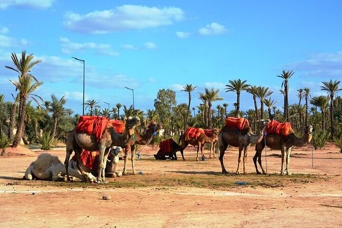 Private Marrakech Day Trip from Casablanca with Free Camel Ride - Koutoubia Mosque and Almohad architecture you will recognize right away