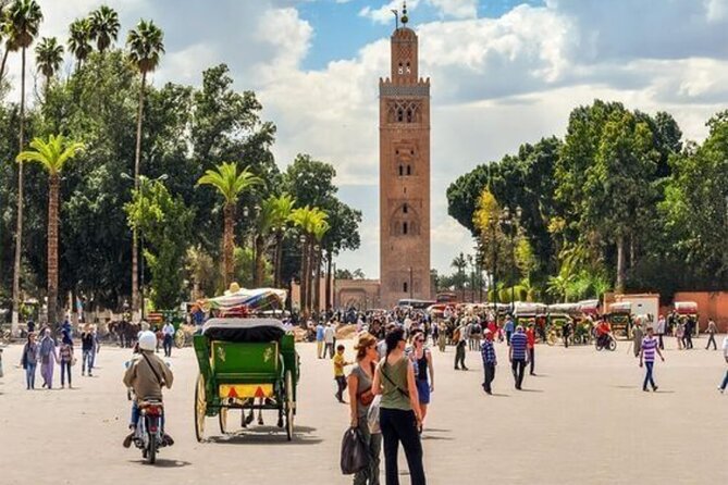 Private Marrakech Day Trip from Casablanca with Free Camel Ride - Jardin Majorelle and the garden break that prevents medina overload