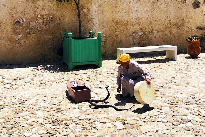 Private Tangier Full day Tour - Medina time: the Grand Socco to Kasbah circuit that makes Tangier click