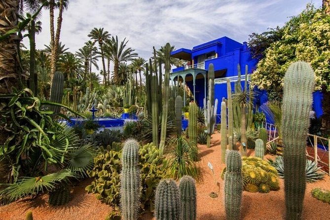 Private Tour in Marrakech By Tuk Tuk - Drivers Matter: English, Waiting, And Medina Navigation