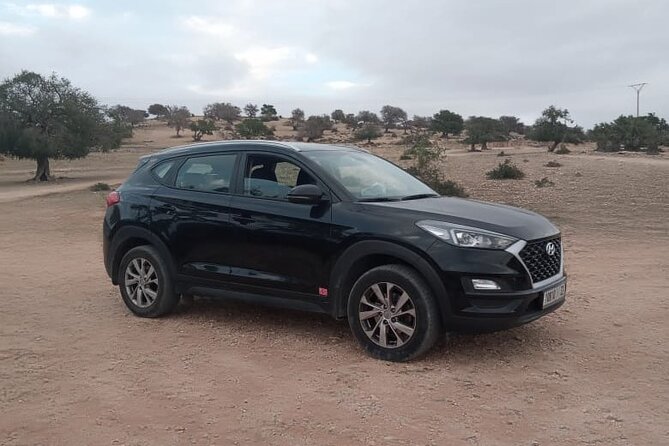 Private transfer Marrakech to Essaouira or Essaouira toMarrakech - How the group size and vehicle comfort work for you