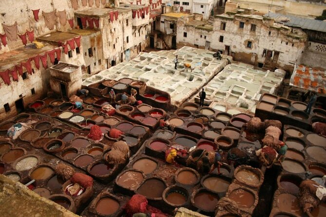 Private walking tours Fez Medina - Key moments worth planning for