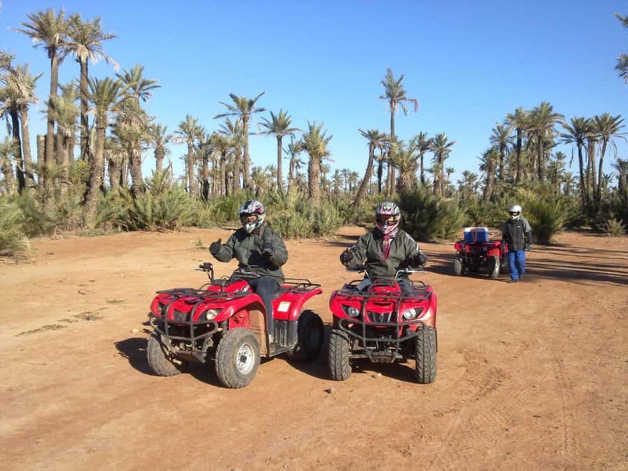 Quad Bike Activity in Marrakech Palmeraie - A Tea Stop at a Refuge: The Calm Moment Between Thrills