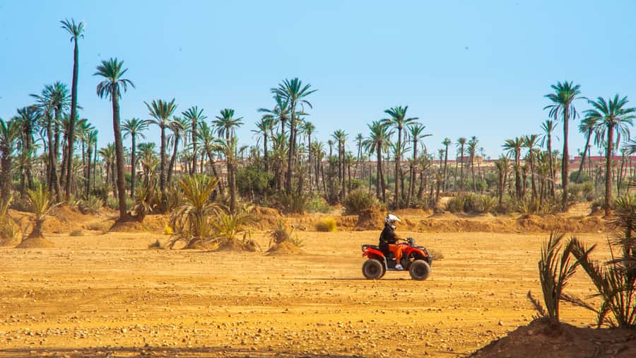 Quad Bike Activity in Marrakech Palmeraie - Timing, Conditions, and Clothing: The Small Things That Matter Most
