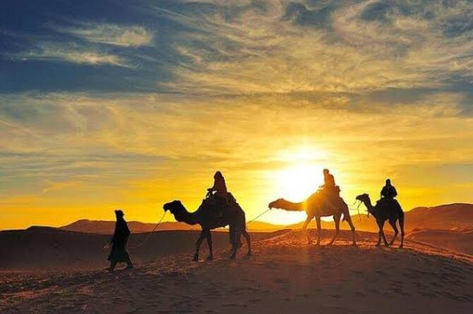 Quad Bike & Camel Ride & Dinner Show In Agafay Desert - Dinner in a Nomad Tent: Harira, Tagine, and a Real Night Show
