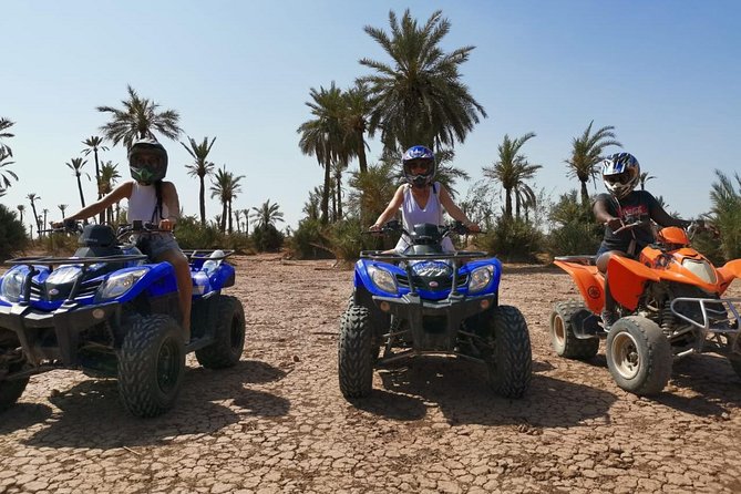 Quad, camel and dinner with show in the desert of Agafay - Key Highlights at a Glance