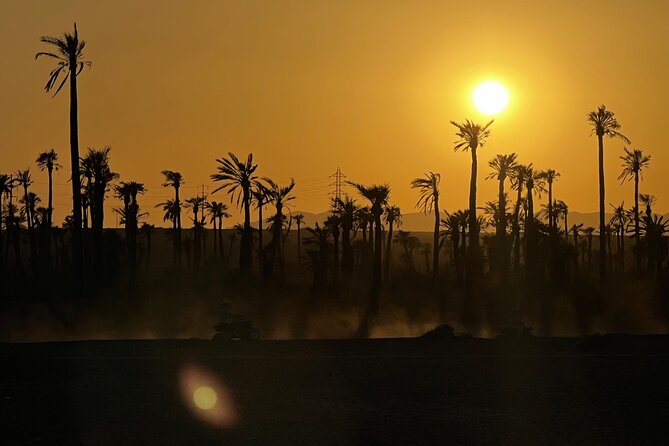 Quad tour to La Palmeraie de Marrakech - Why La Palmeraie quad time feels like a smart Marrakech detour