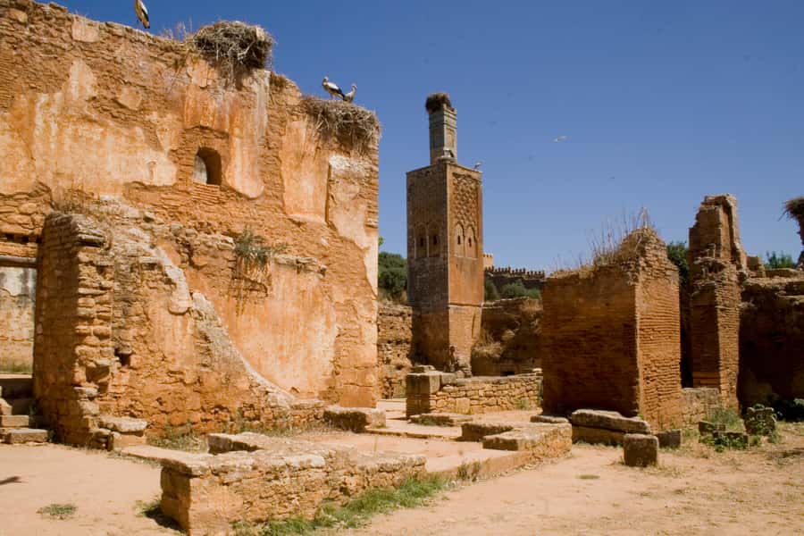 Rabat: Full-Day Trip from Casablanca - Chellah Ruins: A Different Pace Before the Return Ride